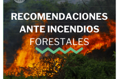 Recomendaciones básicas inmediatas ante incendios forestales - ante incedios forestales portada
