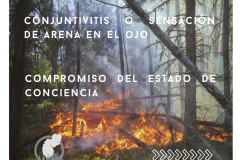 Recomendaciones básicas inmediatas ante incendios forestales - centro salud humo portada