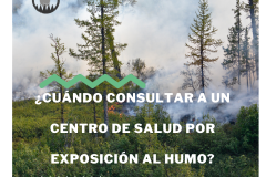 Recomendaciones básicas inmediatas ante incendios forestales - centro salud humo portada