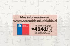 EFECTOS DE INCENDIOS FORESTALES EN LA SALUD MENTAL DE LA POBLACIÓN - 12