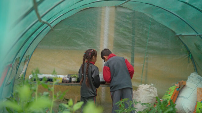 CON CÁPSULAS AUDIOVISUALES PROTAGONIZADAS POR ESCOLARES BUSCAN FOMENTAR ALIMENTACIÓN SALUDABLE