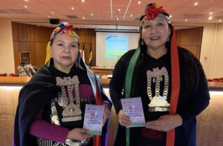 JORNADA MACROZONAL “BUENAS PRÁCTICAS POR EL BUEN VIVIR” PROMUEVE SALUD INTEGRAL EN ÑUBLE, BIOBÍO Y ARAUCANÍA NORTE