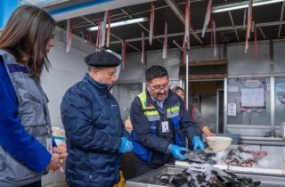 CON 406 FISCALIZACIONES Y CASI 260 KGS. DE PRODUCTOS DECOMISADOS SALUD CONCLUYE FISCALIZACIÓN A PESCADOS Y MARISCOS