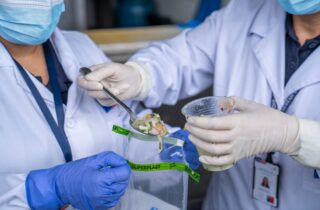 ENCUESTA A PERSONAS CONTAGIADAS CON HEPATITIS A REVELA PRINCIPALES CONDUCTAS DE RIESGO DE CONTAGIO